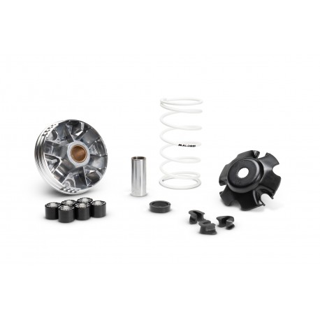 MALOSSI VARIOMAT 5111597